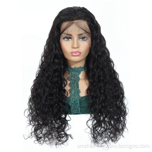 13X6 Lace Frontal Wig 100%Human Hair Double Drawn Water Wave Indian Virgin Cuticle Aligned Hair Swiss Lace Front Wig Pre Plucked